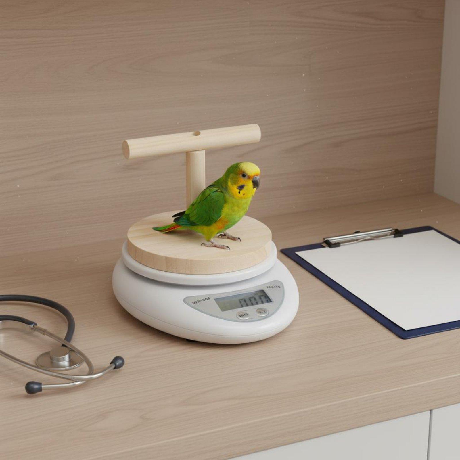 Digital Pet Bird Scale with De - Portion Scale Digital recension och pris