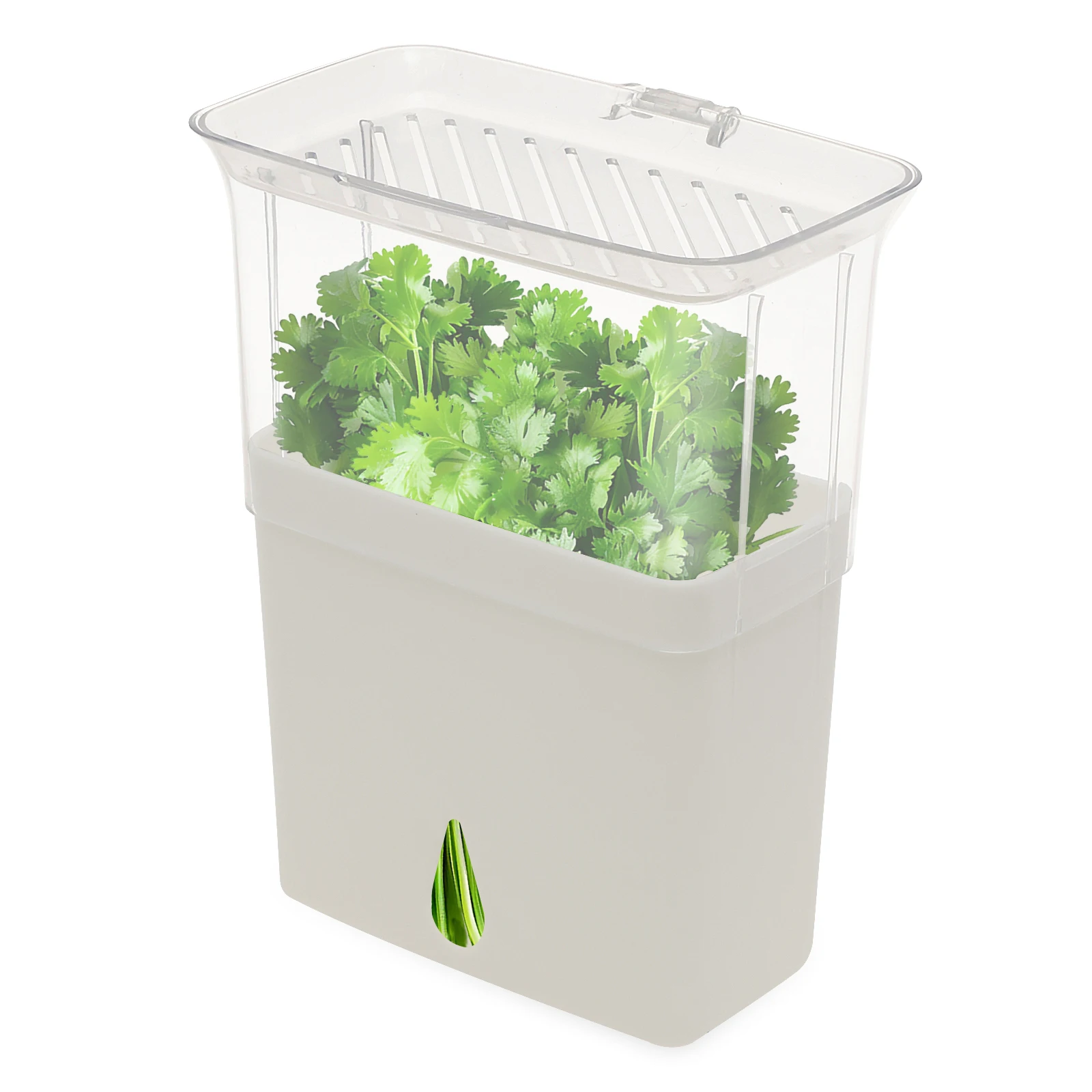 Clear Herb Saver Storage Conta - Herb Keeper Bottle recension och pris