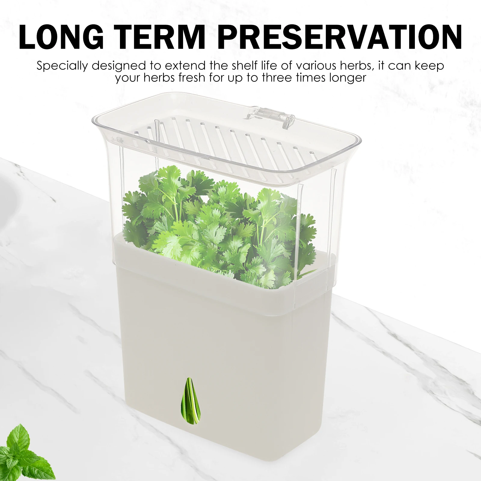 Clear Herb Saver Storage Conta - Herb Keeper Bottle recension och pris
