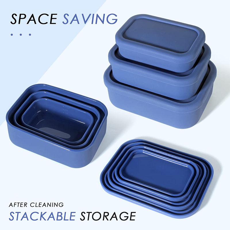 Leak-Resistant Bento Lunch Box - Meal Prep Lunch recension och pris