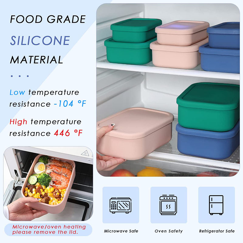 Leak-Resistant Bento Lunch Box - Meal Prep Lunch recension och pris